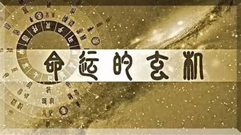 金輿 八字|八字神煞解析——金輿